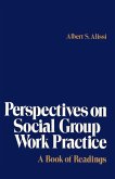 Perspectives on Social Group Work Practice (eBook, ePUB)