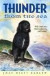 Thunder from the Sea (eBook, ePUB) - Bild 1