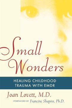 Small Wonders (eBook, ePUB) - Lovett, Joan