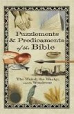 Puzzlements & Predicaments of the Bible (eBook, ePUB)