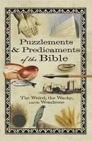 Puzzlements & Predicaments of the Bible (eBook, ePUB) - Howard Books