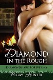 Diamond In The Rough (eBook, ePUB)