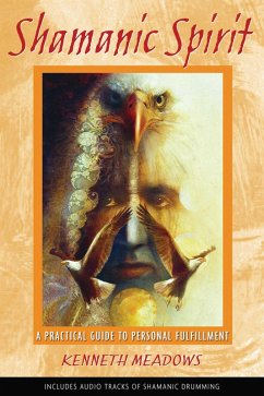Shamanic Spirit (eBook, ePUB) - Meadows, Kenneth