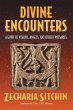 Divine Encounters (eBook, ePUB) - Bild 1