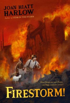 Firestorm! (eBook, ePUB) - Harlow, Joan Hiatt