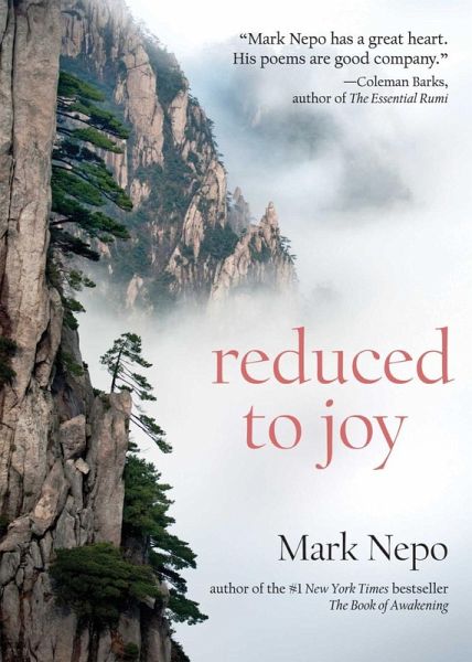 Reduced to Joy (eBook, ePUB)