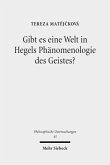 Gibt es eine Welt in Hegels Phänomenologie des Geistes?