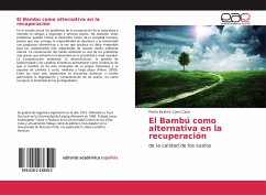 El Bambú como alternativa en la recuperación - Cairo Cairo, Pedro Ibrahim