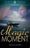 Magic Moment (eBook, ePUB)