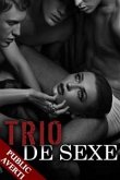 Trio de Sexe (Nouvelle) (eBook, ePUB)