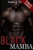 Black Mamba (eBook, ePUB)