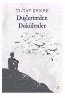 Cover Düslerimden Dökülenler