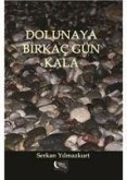 Dolunaya Birkac Gün Kala