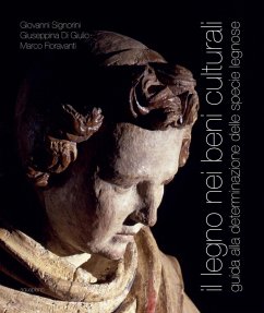 Cover Il legno nei beni culturali. Guida alla determinazione delle specie legnose