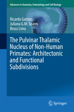 The Pulvinar Thalamic Nucleus of Non-Human Primates: Architectonic and Functional Subdivisions - Gattass, Ricardo;Soares, Juliana G.M.;Lima, Bruss