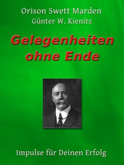 Gelegenheiten ohne Ende (eBook, ePUB)