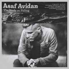 The Study On Falling - Avidan,Asaf