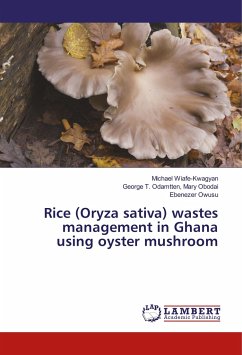Rice (Oryza sativa) wastes management in Ghana using oyster mushroom