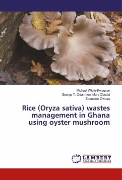 Rice (Oryza sativa) wastes management in Ghana using oyster mushroom - Wiafe-Kwagyan, Michael;Odamtten, Mary Obodai, George T.;Owusu, Ebenezer