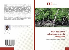 Etat actuel du reboisement de la mangrove - Dièdhiou, Cheikh Mamina