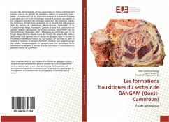 Les formations bauxitiques du secteur de BANGAM (Ouest-Cameroun) - Kamga, Marc Anselme;Yongue F., Rose;Nguimatsia D., Franck W.