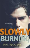 Slowly Burning (Thespians) (eBook, ePUB)