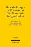 Herausforderungen und Probleme der Digitalisierung der Energiewirtschaft