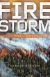 Firestorm (eBook, ePUB) - Bild 1