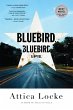Bluebird, Bluebird (eBook, ePUB) - Bild 1
