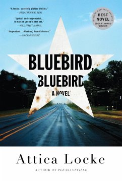 Bluebird, Bluebird (eBook, ePUB) - Locke, Attica