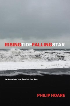 Risingtidefallingstar - Hoare, Philip