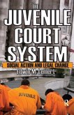 The Juvenile Court System