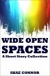 Wide Open Spaces (eBook, ePUB) - Bild 1