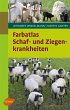 Schaf- und Ziegenkrankheiten (eBook,... - Bild 1