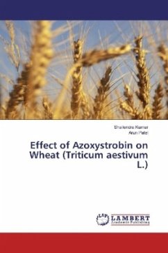 Effect of Azoxystrobin on Wheat (Triticum aestivum L.) - Kumar, Shailendra;Patel, Arun
