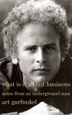 What Is It All but Luminous (eBook, ePUB) What Is It All but Luminous (eBook, ePUB)