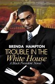 Trouble in the White House (eBook, ePUB)