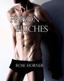 Prison Bitches (Gay Prison BDSM Erotica) (eBook, ePUB)