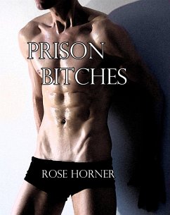 Prison Bitches (Gay Prison BDSM Erotica) (eBook, ePUB) Cover Prison Bitches (Gay Prison BDSM Erotica) (eBook, ePUB)