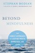 Beyond Mindfulness (eBook, PDF) - Bild 1