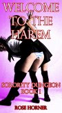 Welcome to the Harem (Sorority Lesbian BDSM) (eBook, ePUB) Welcome to the Harem (Sorority Lesbian BDSM) (eBook, ePUB)