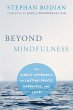 Beyond Mindfulness (eBook, ePUB) - Bild 1