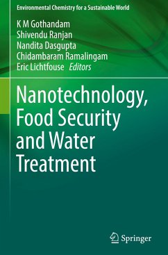 Nanotechnology, Food Security and Water Treatment