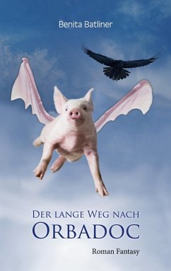 Der lange Weg nach Orbadoc (eBook, ePUB)
