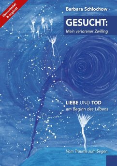Gesucht: mein verlorener Zwilling (eBook, ePUB) - Schlochow, Barbara