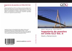 Ingeniería de puentes en Chile G12 Vol. II