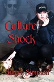 Culture Shock (eBook, ePUB)