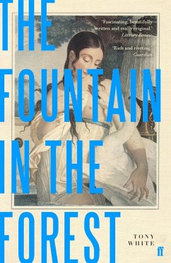 The Fountain in the Forest (eBook, ePUB) - White, Tony
