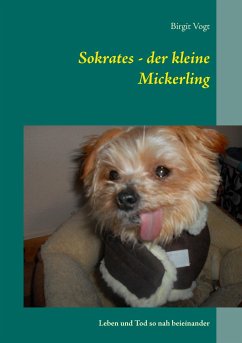 Sokrates - der kleine Mickerling - Vogt, Birgit