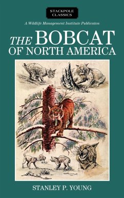 Bobcat of North America (eBook, ePUB) - Young, Stanley P.